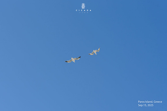 Paros_15SEP25-1