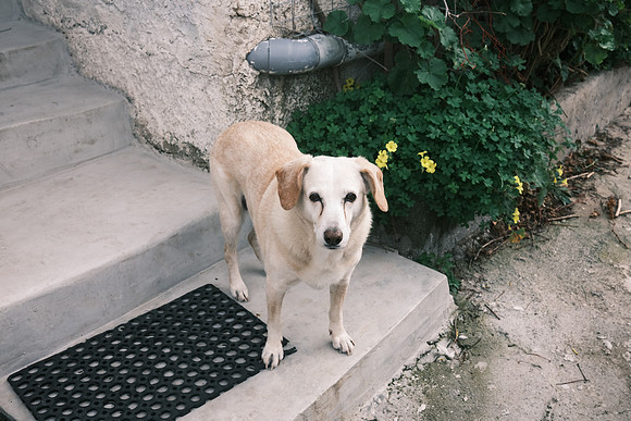 naxos-26