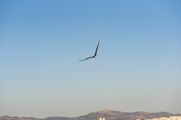 Paros_01JUN26-37