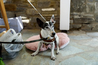 KM_05JUN26-6