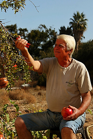 2.Anagnostopoulou_Matina