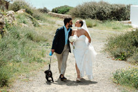 cicadateaser-20