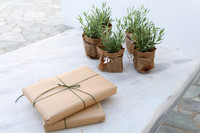 Myrsini_Antiparos2025-8