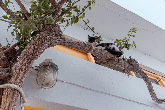 Paros_19MAY25-108